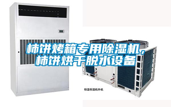 柿餅烤箱專用除濕機,柿餅烘干脫水設備