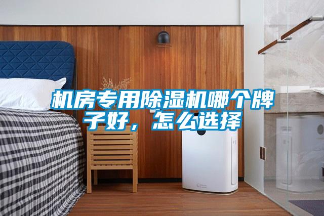 機(jī)房專用除濕機(jī)哪個(gè)牌子好，怎么選擇