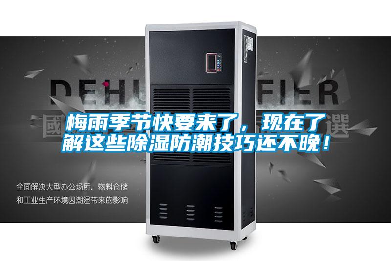 梅雨季節快要來了,現在了解這些除濕防潮技巧還不晚!