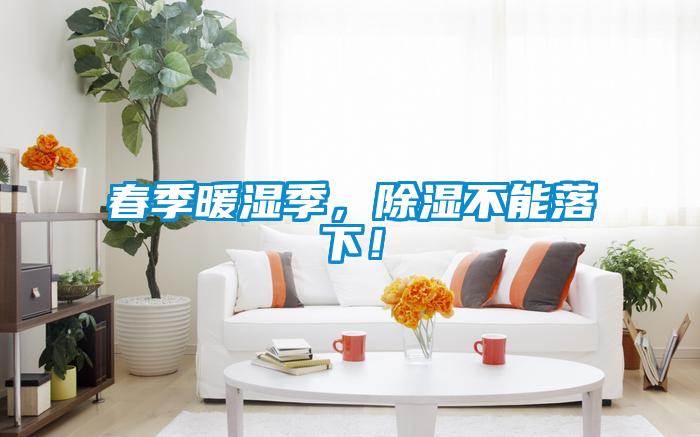 春季暖濕季，除濕不能落下！