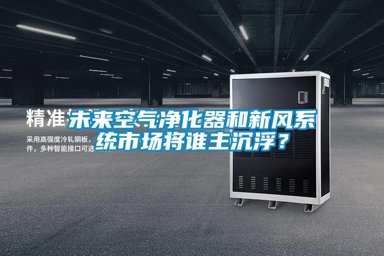 未來空氣凈化器和新風(fēng)系統(tǒng)市場將誰主沉浮？