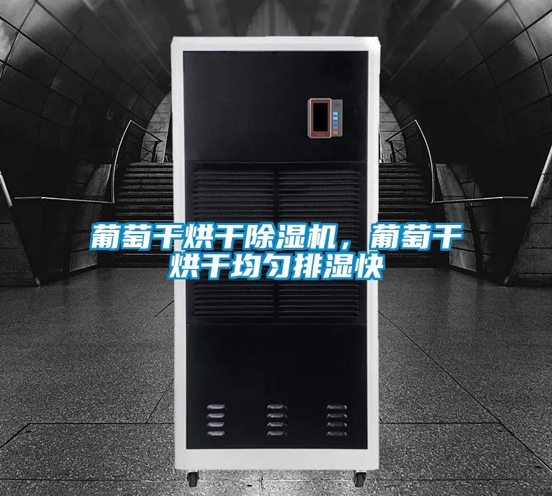 葡萄干烘干除濕機(jī),葡萄干烘干均勻排濕快