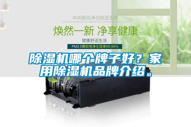除濕機哪個牌子好？家用除濕機品牌介紹。