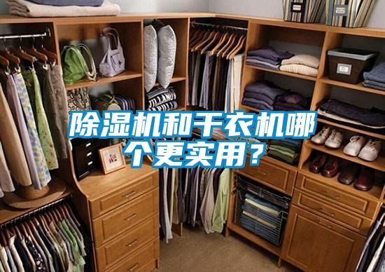 除濕機和干衣機哪個更實用？