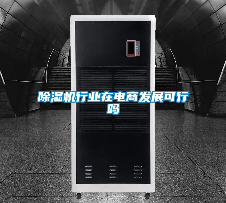 除濕機行業(yè)在電商發(fā)展可行嗎