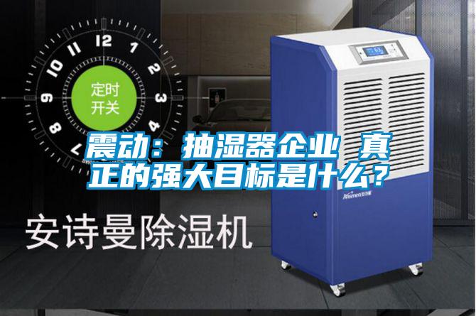 震動:抽濕器企業 真正的強大目標是什么?