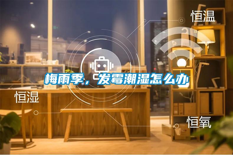 梅雨季，發(fā)霉潮濕怎么辦