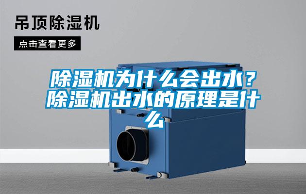 除濕機(jī)為什么會出水？除濕機(jī)出水的原理是什么