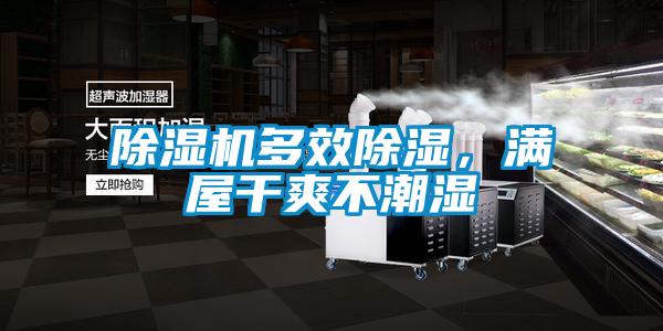 除濕機(jī)多效除濕,滿屋干爽不潮濕