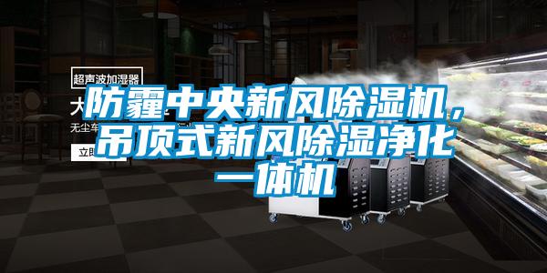 防霾中央新風除濕機，吊頂式新風除濕凈化一體機