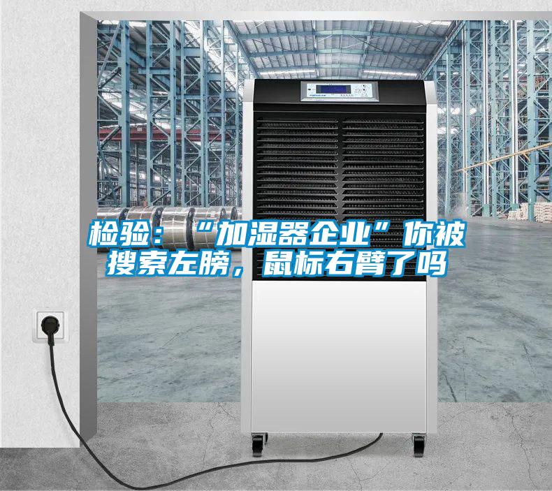 檢驗:“加濕器企業”你被搜索左膀,鼠標右臂了嗎
