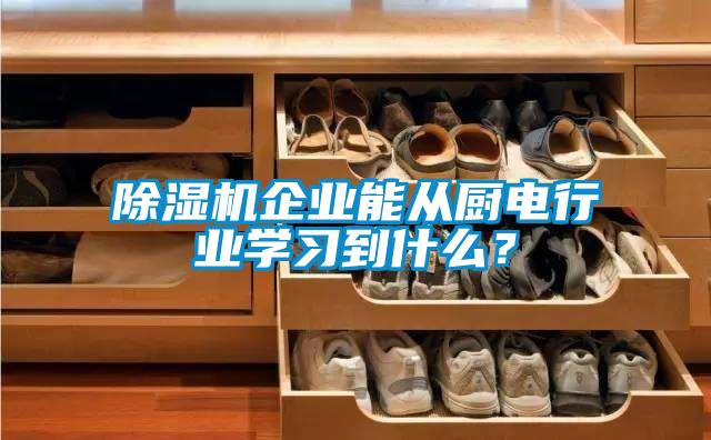 除濕機企業能從廚電行業學習到什么？