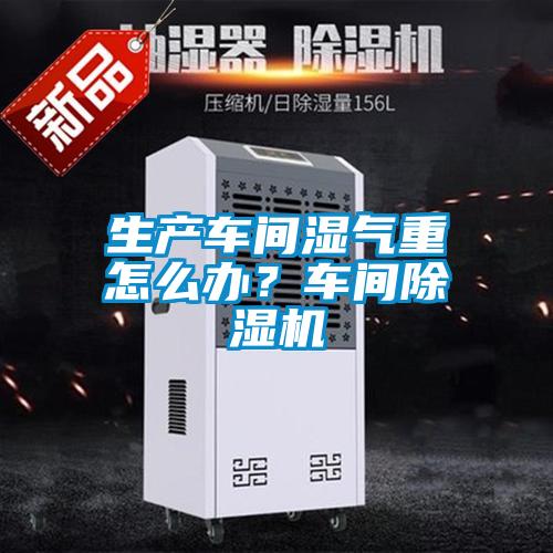 生產(chǎn)車間濕氣重怎么辦？車間除濕機(jī)