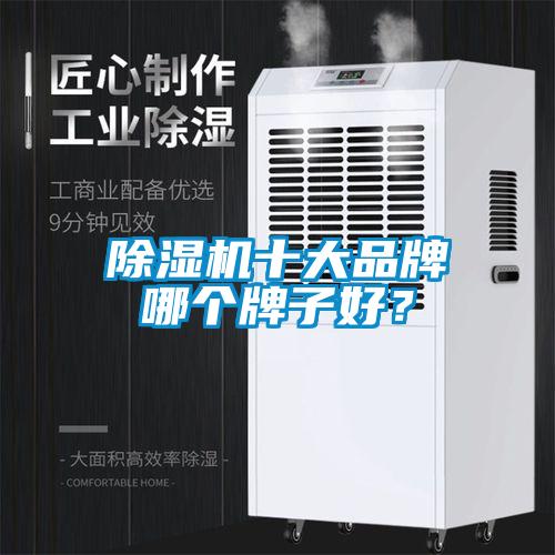 除濕機(jī)十大品牌哪個牌子好?