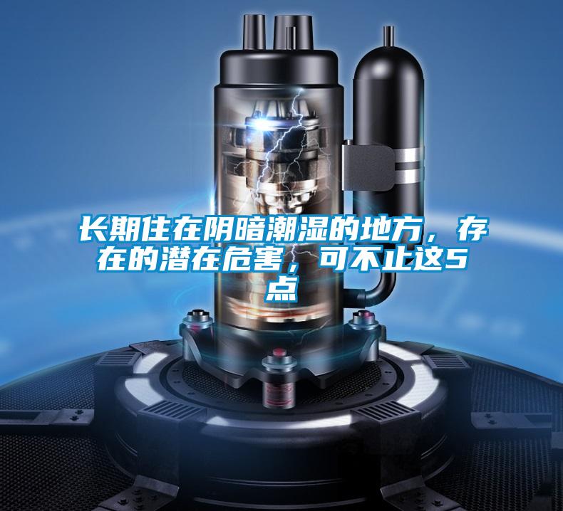 長期住在陰暗潮濕的地方，存在的潛在危害，可不止這5點