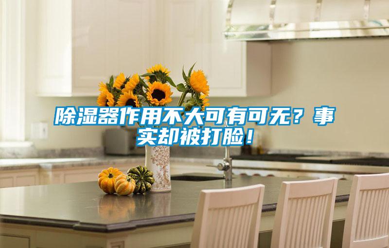 除濕器作用不大可有可無(wú)?事實(shí)卻被打臉!