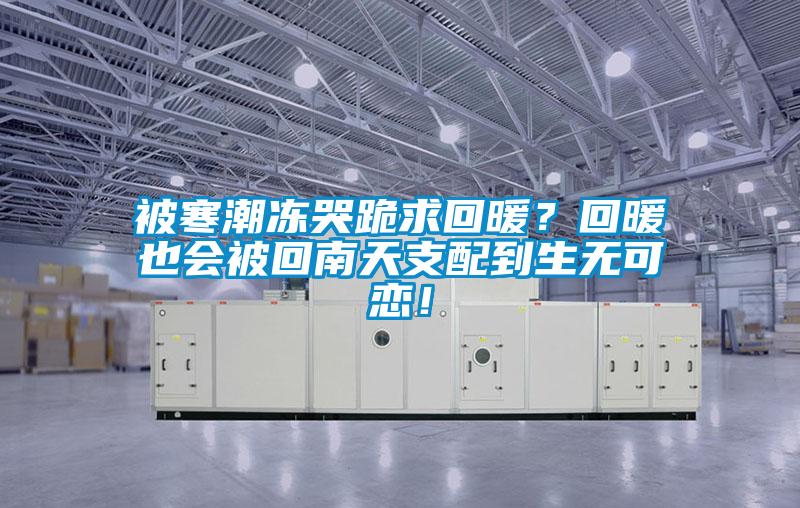 被寒潮凍哭跪求回暖？回暖也會被回南天支配到生無可戀！