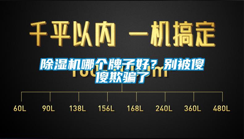 除濕機哪個牌子好？別被傻傻欺騙了