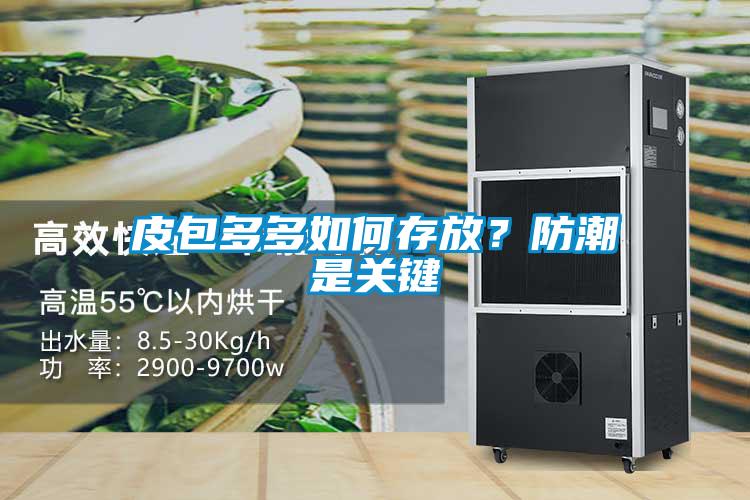 皮包多多如何存放？防潮是關鍵