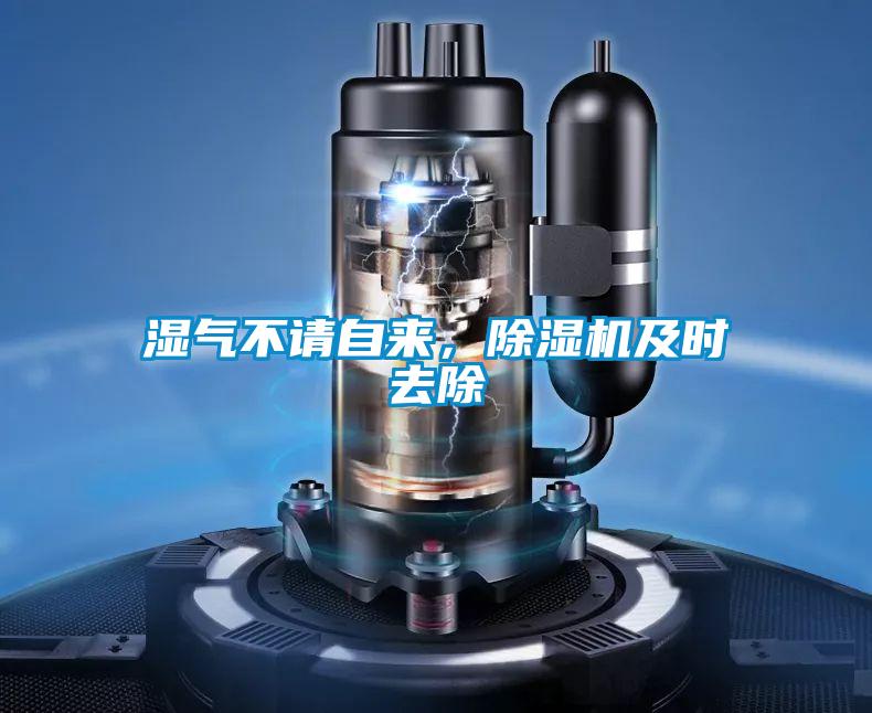 濕氣不請(qǐng)自來(lái)，除濕機(jī)及時(shí)去除