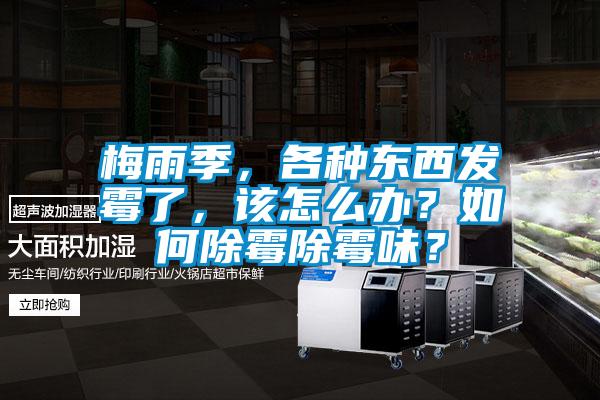 梅雨季，各種東西發霉了，該怎么辦？如何除霉除霉味？