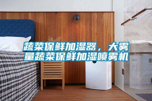 蔬菜保鮮加濕器，大霧量蔬菜保鮮加濕噴霧機