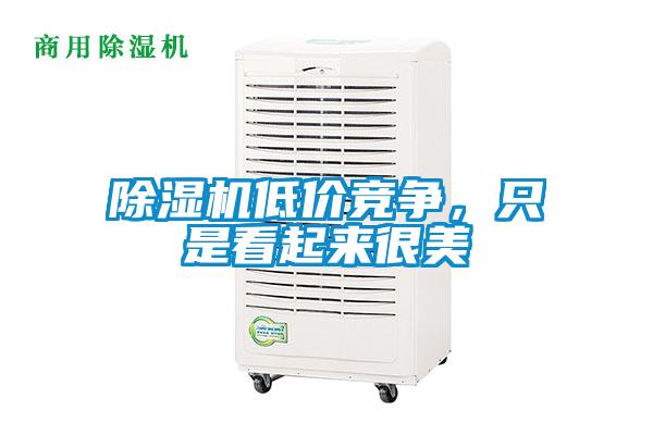 除濕機低價競爭，只是看起來很美