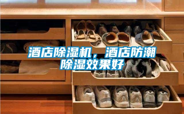 酒店除濕機,酒店防潮除濕效果好