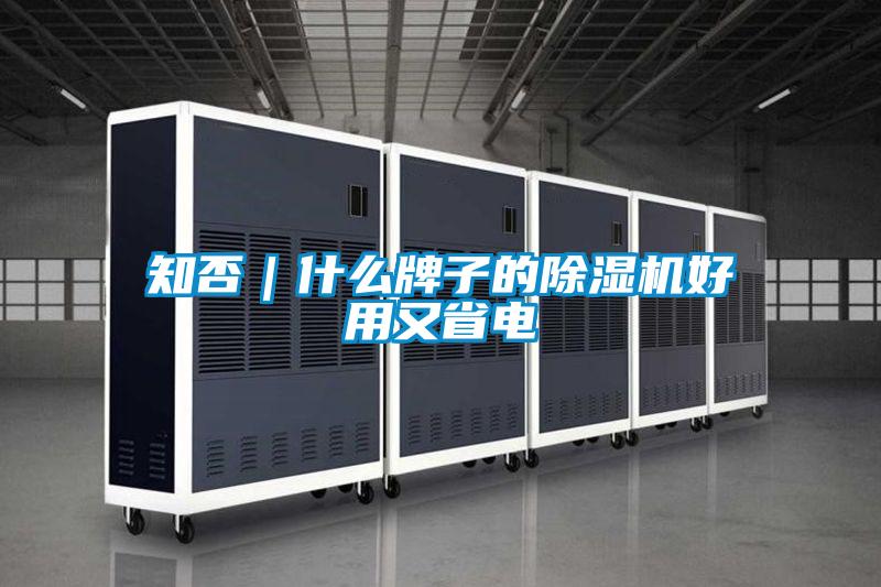 知否|什么牌子的除濕機(jī)好用又省電