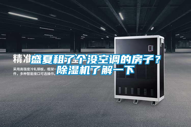 盛夏租了個沒空調的房子？除濕機了解一下