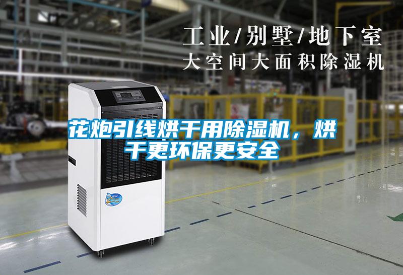 花炮引線烘干用除濕機,烘干更環保更安全