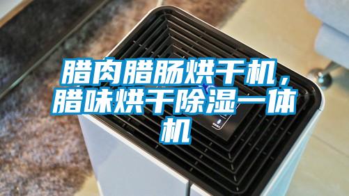 臘肉臘腸烘干機(jī)，臘味烘干除濕一體機(jī)