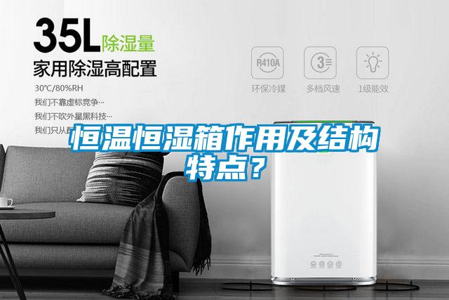恒溫恒濕箱作用及結構特點?