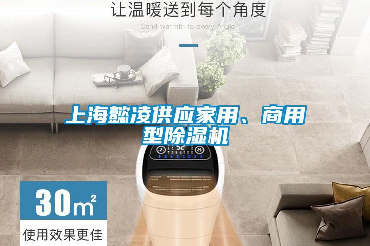 上海懿凌供應(yīng)家用、商用型除濕機(jī)