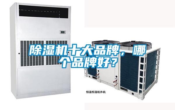 除濕機十大品牌，哪個品牌好？