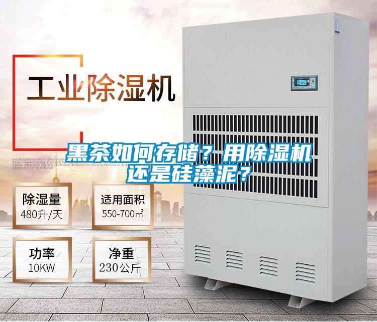 黑茶如何存儲？用除濕機還是硅藻泥？