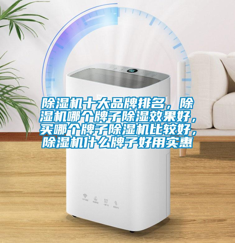 除濕機十大品牌排名，除濕機哪個牌子除濕效果好，買哪個牌子除濕機比較好，除濕機什么牌子好用實惠