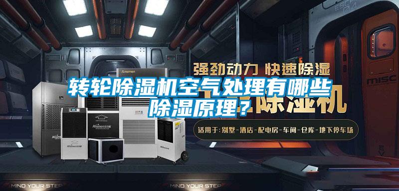 轉(zhuǎn)輪除濕機空氣處理有哪些除濕原理？