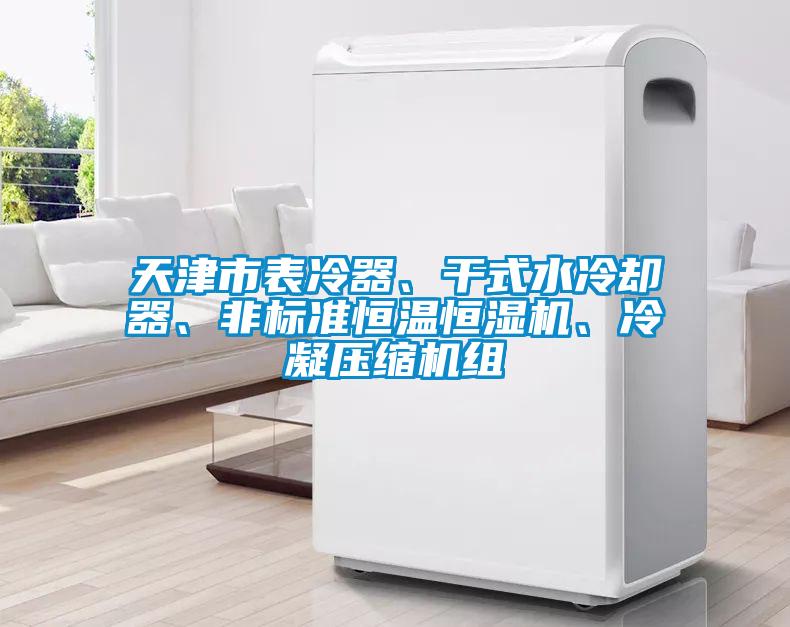 天津市表冷器、干式水冷卻器、非標準恒溫恒濕機、冷凝壓縮機組