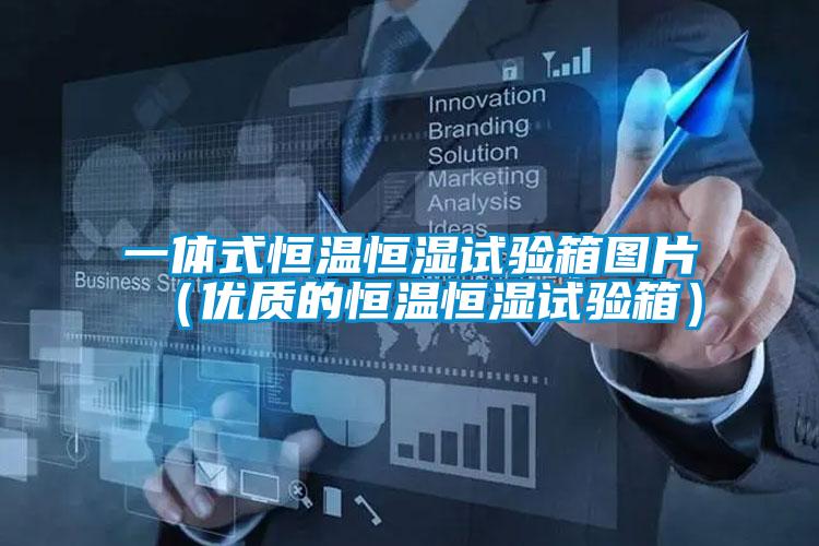 一體式恒溫恒濕試驗箱圖片(優質的恒溫恒濕試驗箱)