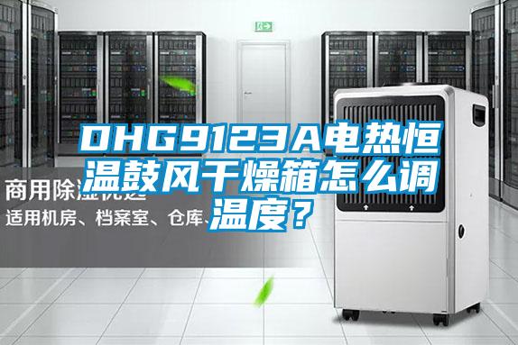 DHG9123A電熱恒溫鼓風干燥箱怎么調溫度?