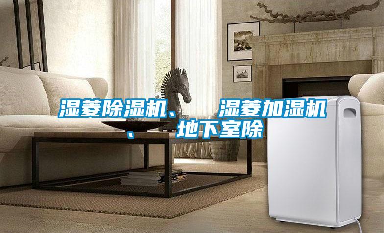 濕菱除濕機、 濕菱加濕機、 地下室除