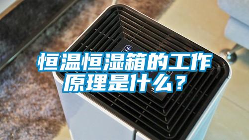 恒溫恒濕箱的工作原理是什么？