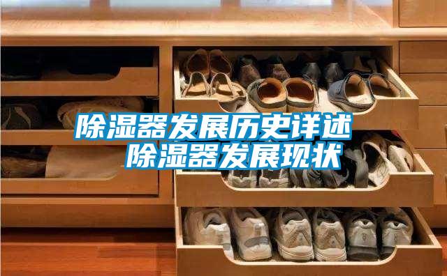 除濕器發展歷史詳述 除濕器發展現狀