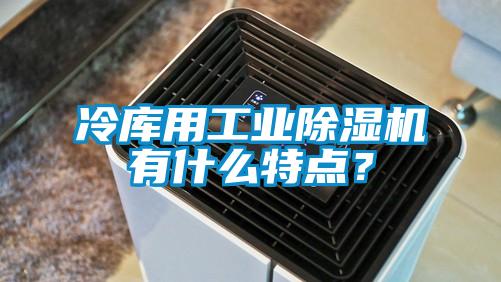 冷庫用工業(yè)除濕機(jī)有什么特點(diǎn)?