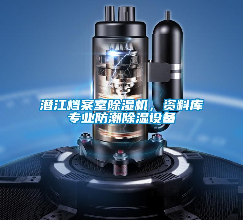 潛江檔案室除濕機(jī),資料庫(kù)專業(yè)防潮除濕設(shè)備