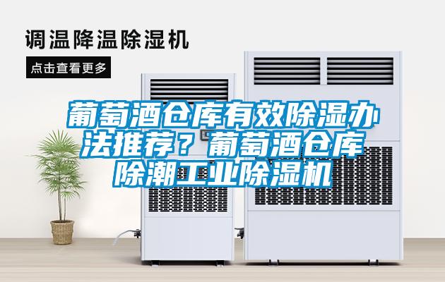 葡萄酒倉庫有效除濕辦法推薦?葡萄酒倉庫除潮工業(yè)除濕機