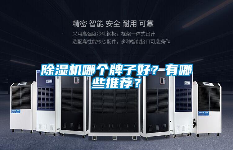 除濕機(jī)哪個牌子好?有哪些推薦?