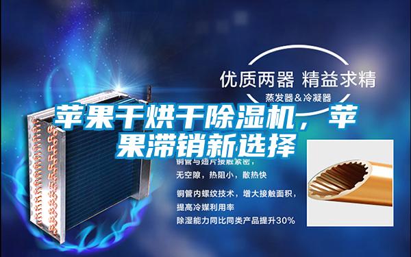 蘋果干烘干除濕機(jī)，蘋果滯銷新選擇