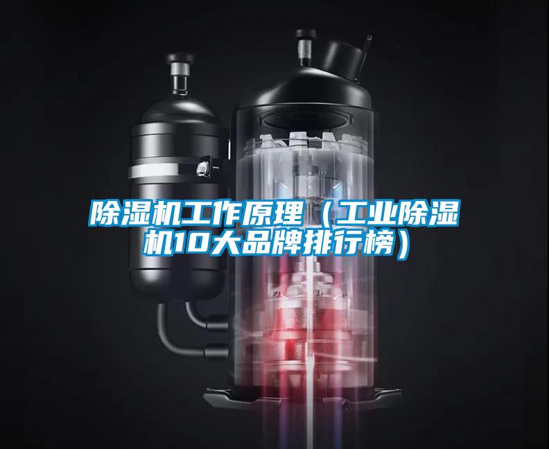 除濕機工作原理(工業除濕機10大品牌排行榜)